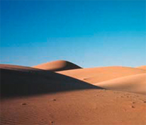 Des traces dans le désert